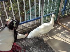 -宁波九龙湖开元度假村