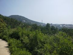 -府君山公园