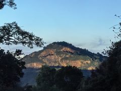-桃花岛景观公园