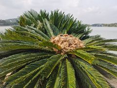 -上海月湖雕塑公园