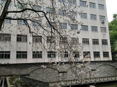 -湖北省美术院美术馆