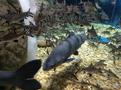 -成都浩海立方海洋公园