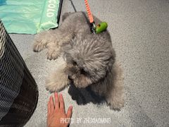 -E+有冰工厂·昆仑寒宫2(五角场店)