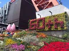 -东京塔海贼王主题公园