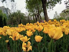 -廊坊文化艺术中心