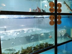 -红鼎坊·老成都火锅(新南门店)