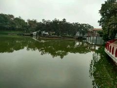 -石湾公园
