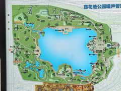 -莲花池公园