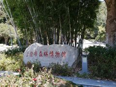 -云碧峰国家森林公园