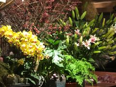 -春暖花开(西溪店)