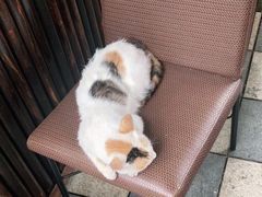 -德克士(砂之船奥特莱斯店)