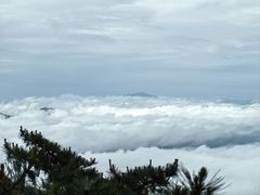 -黄山风景区