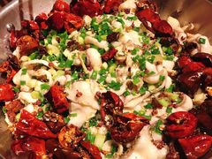 -百岁鱼(七一路店)