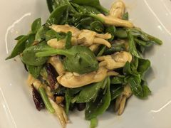 -后海16号·北京私房菜