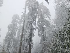 -峨眉山风景名胜区