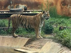 -昆明动物园