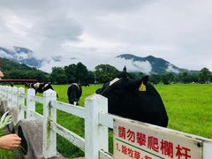 -瑞穗牧场