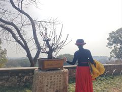 -无锡梅园公园