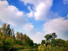 -白鹭湾湿地公园