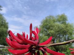 -国际非物质文化遗产博览园