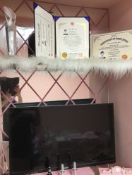 -Pink You美甲美睫纹绣定制中心