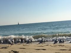 -海云台海滩