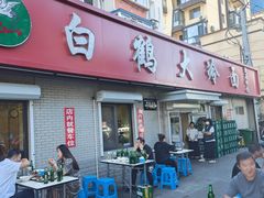 -白鹤大冷面