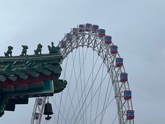 -天津大悲禅院
