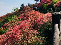 -木兰云雾山