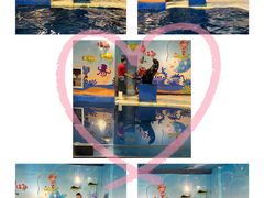 -太平洋海底世界