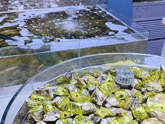 -聚盛源蒸汽海鲜火锅烤肉自助(巨川金海岸购物广场店)