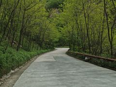 -牛背梁国家森林公园