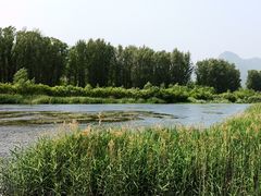 -白河湾生态旅游一条川