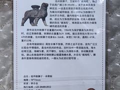 -0317火锅鸡·清真(正达店)