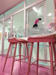 -WITCH （舞季）舞蹈工作室