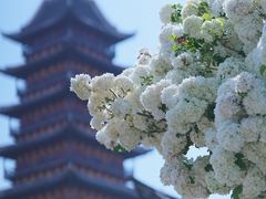 -常熟方塔园