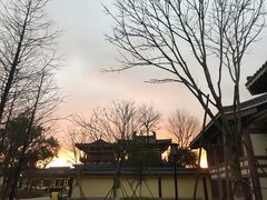 -香园自助小火锅