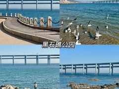 -老大连·海肠捞饭·大连海鲜大连菜(西安路店)