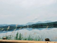 -水墨汀溪风景区