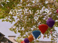 -惠山古镇·寄畅园