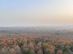 -紫金山索道-售票处