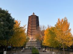 -玲珑塔公园