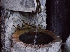 -尽膳·鱼鲜川菜(宽窄巷子店)