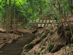 -凤栖山
