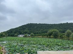 -龙寺生态园