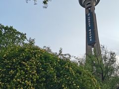 -南京古林公园