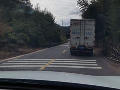 -北仑森林植物园