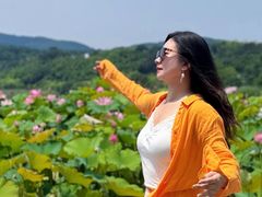 -南北湖风景区