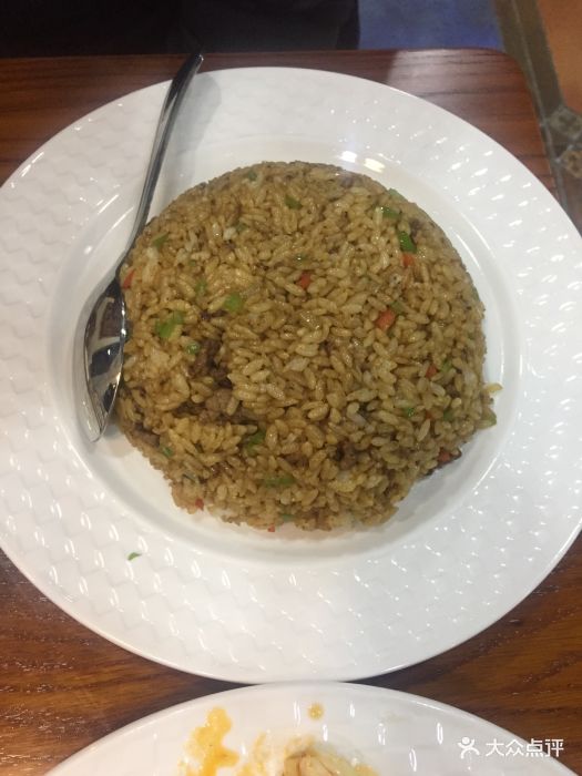 雪中莲.新疆味道孜然炒饭图片 - 第1张