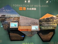 -中国湿地博物馆